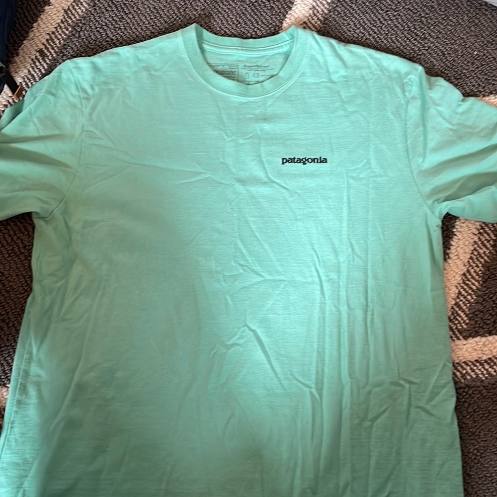 mens medium patagonia t shirt.